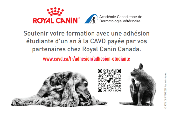 Student promo picture French